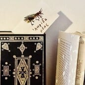 Αποκαλόκαιρο στο Ατελιέ του Αλέκου Φασιανού στην Κέα