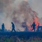 Ακραίος κίνδυνος φωτιάς αύριο: Ποιες περιοχές εντάσσονται στην κατηγορία «5»