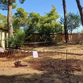 Άνοιξε για το κοινό το Άλσος Χωροφυλακής