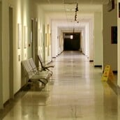 Μύκητας Candidozyma auris: Υπάρχει έξαρση με «αύξηση 60% σε Ευρώπη και Ελλάδα» - Τι πρέπει να κάνουμε