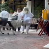 Γυναίκα βγήκε βόλτα με το πόνυ της στο κέντρο της Αθήνας 