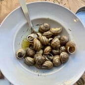 Τα σαλιγκάρια και ένα λάθος αιώνων που οφείλει να διορθωθεί