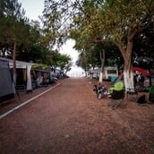ΦΟΙΝΙΚΟΥΝΤΑ ΔΟΛΟΦΟΝΙΑ ΚΑΜΠΙΝΓΚ