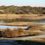 Κλιματική κρίση: Η ξηρασία απειλεί τη βρετανική φύση - Σκαντζόχοιροι και πουλιά πεθαίνουν από δίψα