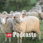 «Ο φραπές, ο χασάπης και η Πόπη με τη Φεράρι»: Γιατί κανείς δεν θέλει να γίνει αγρότης 