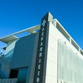 Γλυφάδα: Ο 38χρονος δράστης έχει αποδράσει 18 φορές από ψυχιατρικά ιδρύματα της χώρας