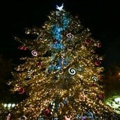 ΧΡΙΣΤΟΥΓΕΝΝΙΑΤΙΚΟ ΔΕΝΤΡΟ ΧΡΙΣΤΟΥΓΕΝΝΑ