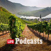 Pfalz: Η νέα δύναμη του Riesling και του Pinot Noir, που «ταράζει» την Ευρώπη