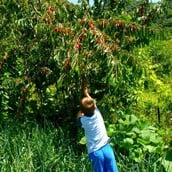 « Βγαίνω από το σπίτι μου το πρωί και πηγαίνω με ευχάριστη διάθεση στη δουλειά»