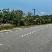 ΦΟΙΝΙΚΟΥΝΤΑ ΔΟΛΟΦΟΝΙΑ ΚΑΜΠΙΝΓΚ