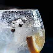 ΤΖΙΝ ΑΛΚΟΟΛ ΠΟΤΟ