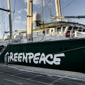 Η Greenpeace καταγγέλλει «εντατικοποίηση» εμπορίου πυρηνικών υλικών μεταξύ Γαλλίας - Ρωσίας εν μέσω πολέμου στην Ουκρανία 