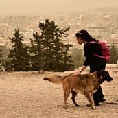 ΚΑΙΡΟΣ ΑΦΡΙΚΑΝΙΚΗ ΣΚΟΝΗ