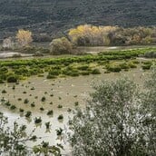 Αποκλεισμένα χωριά στα Μετέωρα από την κακοκαιρία