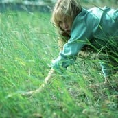 Τζένιφερ Λόρενς, Οικονομίδης και μεταφυσικό ρομάντζο από αύριο στους κινηματογράφους
