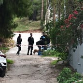 Δολοφονία στη Σαλαμίνα: «Φώναζε και φοβήθηκα ότι θα με αναγνωρίσει» - Τι ομολόγησε η νύφη της 75χρονης