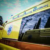 ΡΕΘΥΜΝΟ ΚΤΗΝΟΤΡΟΦΟΣ ΕΠΙΘΕΣΗ