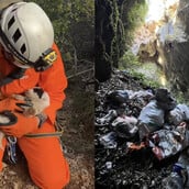 Πήλιο: Άγνωστοι πέταξαν κουτάβια σε βάραθρο 20 μέτρων – Ένα επέζησε και διασώθηκε