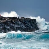 ΚΑΚΟΚΑΙΡΙΑ ΤΣΑΤΡΑΦΥΛΛΙΑΣ ΑΦΡΙΚΑΝΙΚΗ ΚΑΤΑΙΓΙΔΑ