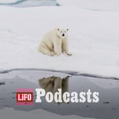 Περνάνε οι COP, αλλά οι πάγοι συνεχίζουν να λιώνουν