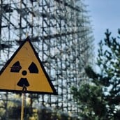 Τσέρνομπιλ Ραδιενέργεια Μύκητας