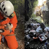 Κατέληξε το κουτάβι που είχε διασωθεί από βάραθρο στο Πήλιο