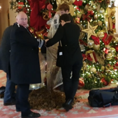 Λονδίνο: Ακτιβιστές πέταξαν κοπριά αλόγου στο χριστουγεννιάτικο δέντρο του Ritz 