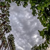 Κακοκαιρία Byron: Κλειστός ο Εθνικός Κήπος - Πότε εξασθενούν τα έντονα φαινόμενα στην Αττική 