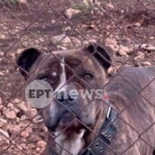 ΝΕΚΡΟ ΠΑΙΔΙ ΖΑΚΥΝΘΟΣ