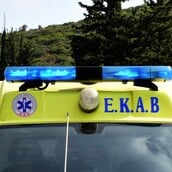 Ζάκυνθος: Νεκρό 18 μηνών βρέφος μετά από επίθεση σκύλου