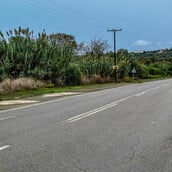 ΦΟΙΝΙΚΟΥΝΤΑ ΔΟΛΟΦΟΝΙΑ ΚΑΜΠΙΝΓΚ