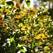 ΚΑΙΡΟΣ ΣΑΒΒΑΤΟΚΥΡΙΑΚΟ