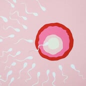 ΣΠΕΡΜΑ ΔΟΤΗ ΚΑΡΚΙΝΙΚΟ ΓΟΝΙΔΙΩΜΑ