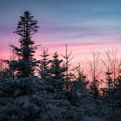 ΜΑΡΟΥΣΑΚΗΣ ΚΑΙΡΟΣ ΣΗΜΕΡΑ ΧΡΙΣΤΟΥΓΕΝΝΑ ΚΑΚΟΚΑΙΡΙΑ