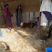 ΒΟΛΟΣ ΠΟΝΙ ΑΧΙΛΛΕΑΣ ΜΠΕΟΣ ΧΡΙΣΤΟΥΓΕΝΝΑ