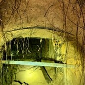 Πολωνία: Εντοπίστηκε σήραγγα διακίνησης μεταναστών στα σύνορα με Λευκορωσία