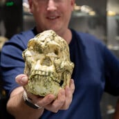 Απολίθωμα-ορόσημο ενδέχεται να ανήκει σε άγνωστο πρόγονο του ανθρώπου