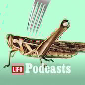 «Η εντομοφαγία μπαίνει σταδιακά στη διατροφή μας»