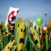 GREENPEACE ΝΕΑ ΜΕΤΑΛΛΑΓΜΕΝΑ