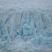 ΑΡΚΤΙΚΗ ΠΑΓΕΤΩΝΕΣ ΥΠΕΡΘΕΡΜΑΝΣΗ ΚΛΙΜΑΤΙΚΗ ΚΡΙΣΗ