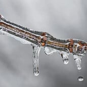 Μαρουσάκης: Το Σάββατο έρχεται βαρομετρικό χαμηλό - Κακοκαιρία με μεγάλο όγκο νερού και ραγδαιότητες