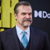 ΝΤΕΙΒΙΝΤ ΧΑΡΜΠΟΡ STRANGER THINGS