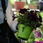 Λαϊκές αγορές: Το εορταστικό ωράριο