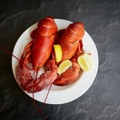 ΒΡΕΤΑΝΙΑ ΑΣΤΑΚΟΣ