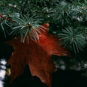 ΚΑΚΟΚΑΙΡΙΑ ΧΡΙΣΤΟΥΓΕΝΝΑ ΕΚΤΑΚΤΟ ΚΑΙΡΟΣ