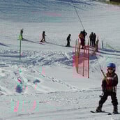 ΓΑΛΛΙΑ ΧΙΟΝΟΔΡΟΜΙΚΟ ΑΛΠΕΙΣ