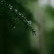 ΚΑΙΡΟΣ ΚΑΚΟΚΑΙΡΙΑ ΕΚΤΑΚΤΟ ΕΜΥ