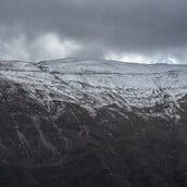 ΦΩΚΙΔΑ ΟΡΕΙΒΑΤΕΣ ΕΞΑΦΑΝΙΣΗ