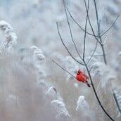ΚΑΙΡΟΣ ΠΡΩΤΟΧΡΟΝΙΑ ΑΛΛΑΖΕΙ