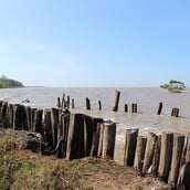 ΠΑΙΔΙΑ ΔΟΛΟΦΟΝΙΑ ΣΟΥΡΙΝΑΜ ΠΑΤΕΡΑΣ ΜΑΧΑΙΡΙ